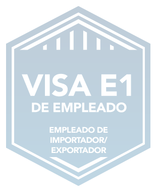 Visae1 Importadorexportador Badge Sp Copy