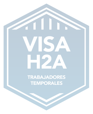 Visah2a Trabajadorestemporales Badge Sp Copy